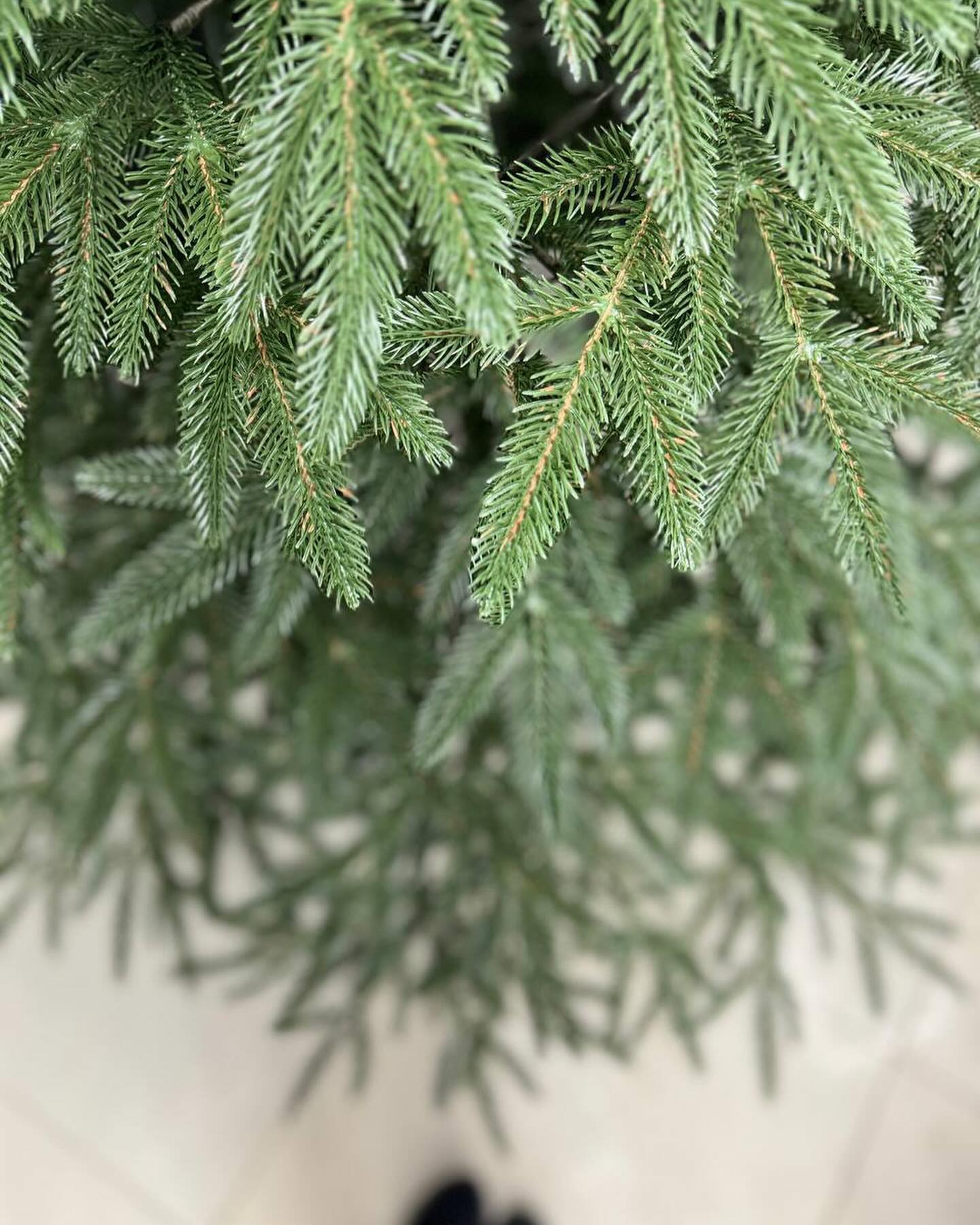 Árvore de Natal Tradicional